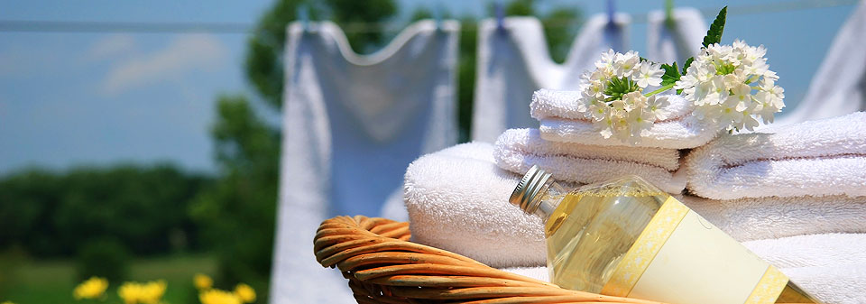 3-shutterstock_1560153
